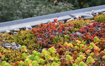 the cost of Hazon green roof installation
