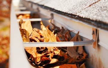 Hazon gutter cleaning companies