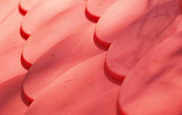 Hazon plastic roof costs