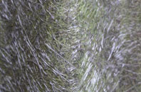 Hazon fibreglass roof work